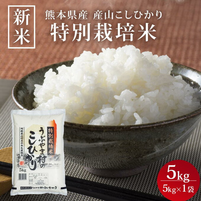 【熊本県産 産山こしひかり(特別栽培米) 5kg】新米 お米 白米 送料無料 5kg×1袋 令和5年産 5年産 2023年産 美味しい おいしい 人気 熊本県産 阿蘇 阿蘇山 こしひかり うぶやま村 甘い 九州 種商 お中元 御中元