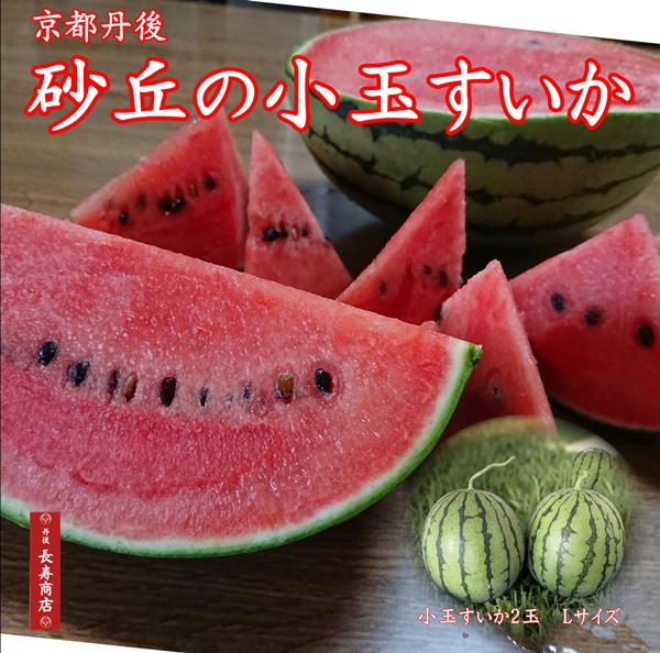 ★京都丹後産　砂丘小玉スイカ 2玉【Lサイズ】約1.5kg×2玉／シャリシャリとした甘さが人気♪砂丘すいか【ハウス栽培6/18〜6/末発送】【砂..