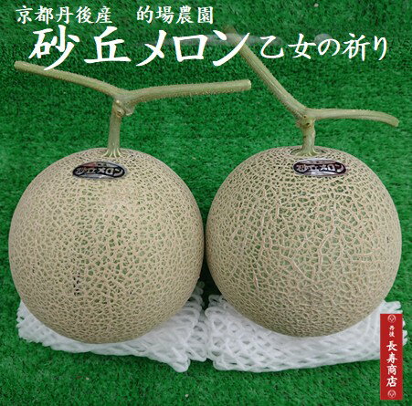 ★京都丹後久美浜 砂丘メロン【オ
