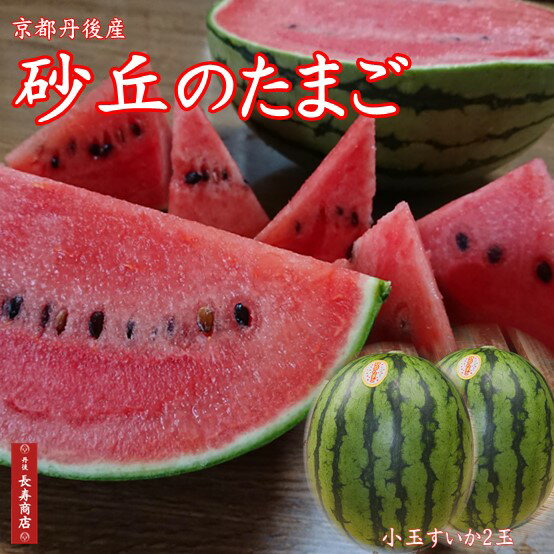 ★京都丹後産【砂丘のたまご】小玉