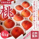 【丹後の桃】★京都丹後【桃もも】【4kg箱入】【白鳳など7/10〜7/末頃発送】【白桃白麗8/1/〜 ...