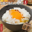 ★京都丹後産コシヒカリ【4kg】2kg×2袋 2025年度産【厳選一等米】【白米】【精米済】【単一原料米】【生産者限定】【京都丹後米 コシヒカリ】【丹後産 こしひかり】【Aランク】【贈り物 お米】【御祝】【安心&安全米】【丹後米】【丹後コシヒカリ】