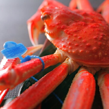 ★日本海産【ブランド松葉ガニ夫婦セット】【茹】松葉ガニ800g1杯&セコガニ2杯【夫婦蟹セット】【松葉ガニセット】【ブランドガニ】【せこがに】【めおとセット】【せいこがに】【松葉がに】【松葉かに】【かにはん】【ブランド 蟹】