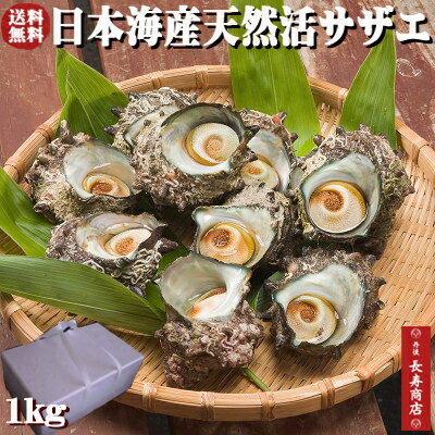 日本海産★天然活サザエ1kg【約10個】【天然サザエ】【新鮮サザエ】【活きた状態でお届け】【冷蔵】【 ...