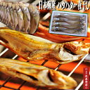 ★日本海産 ハタハタ一夜干し50g【8枚】<冷凍>干物ハタハタ・大サイズ【丹後 干物セット】【はたはた】【ハタハタ 干物】【ハタハタ レシピ】【ハタハタ 料理】【ハタハタ 通販】【ハタハタ 旬】【一夜干し】【干物 取り寄せ】【干物 通販】【干物 父の日】【干物 母の日