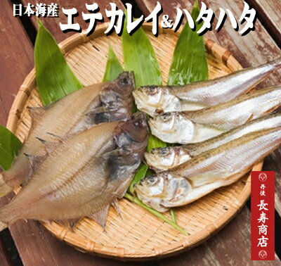【日本海産干物セット】ハタハタ4枚＆エテカレイ2枚の一夜干し
