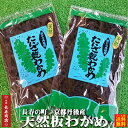 京都丹後産 天然たいざ乾わかめ20g×2袋自然の美味しさ間人わかめ