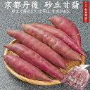 ★京都丹後網野産 砂丘さつまいも<1kg>5〜6本入【砂丘甘藷】【9月中旬以降出荷〜春頃まで】【さつまいも】【サツマイモ】【焼き芋】【さつま芋 蒸し】【さつまいも 通販】【さつまいも】【砂丘甘藷】【京都 お土産】【丹後 お土産】