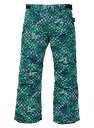 WINTER SNOW PANT Boys' 子供用 Burton Barnstorm Pant BIRDS EYE