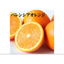 紀州和歌山産 バレンシアオレンジ 3kg 訳ありご家庭用