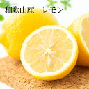 紀州和歌山♪ 国産レモン 3kg 2,800円 【送料無料・一部地域除く】