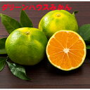 和歌山有田産 グリーンハウスみかん Mサイズ48玉(約5kg)【送料無料・一部地域除く】