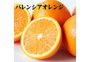 紀州和歌山産 バレンシアオレンジ 3kg 【送料無料】