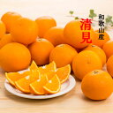 清見オレンジ 5kg 4800円(4)
