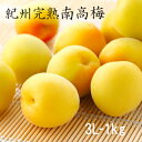 【キズ有り】本場紀州の【大粒】南高梅(完熟)梅干し用 3L 1kg 【ご予約】