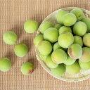 本場紀州の南高梅(青梅)梅酒用 5kg 5,800円 【ご予約】 本場紀州の南高梅(青梅)梅酒用 5kg 5,800円 【ご予約】