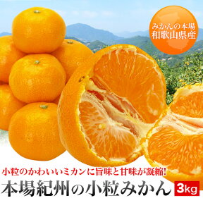 【ご予約品】ギュッギュッと旨みが濃縮　本場紀州和歌山の小粒みかん　3kg　1,980円【お試し品・送料無料　北海道・北東北・沖縄除く】