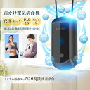 首掛け空気清浄機 小型 USB充電