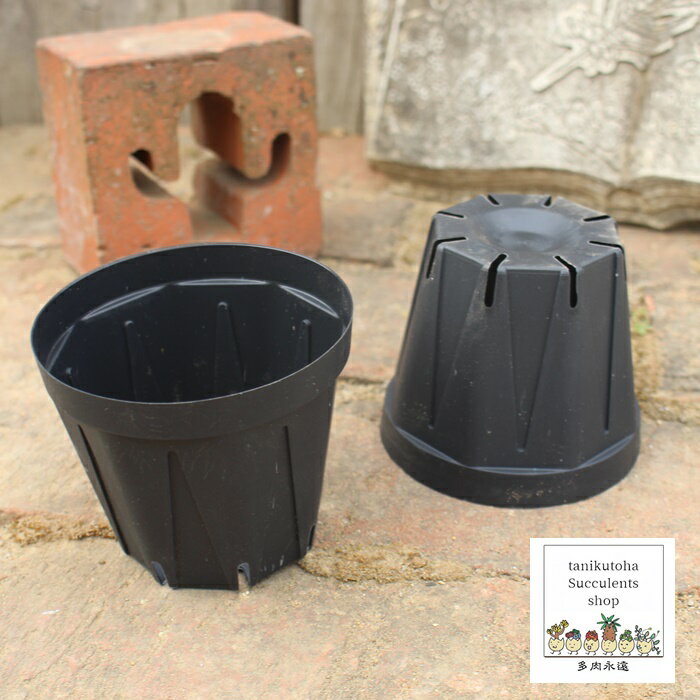 スリット鉢 黒 3号 48鉢 送料無料 CSM-90 カネヤ プラスチック鉢3号 ブラックのサムネイル