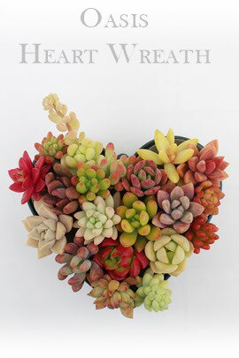 其它 秋季開花 - 多肉植物 寄せ植え 母の日 オアシスハート 30種類 カット苗 送料無料 感謝状付 ギフト 園芸 お祝い 贈り物 記念日 5月の旬 紅葉 華やか 豪華 感謝の気持ち