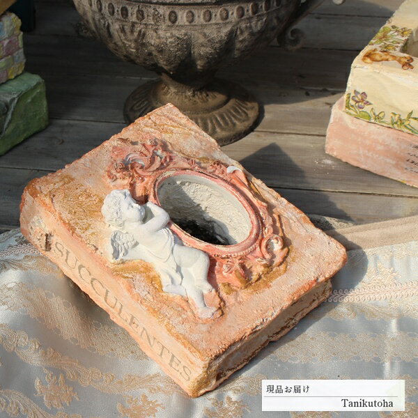 樂天商城 - ブック鉢 エンジェル 送料無料 多肉永遠鉢 モルタル鉢