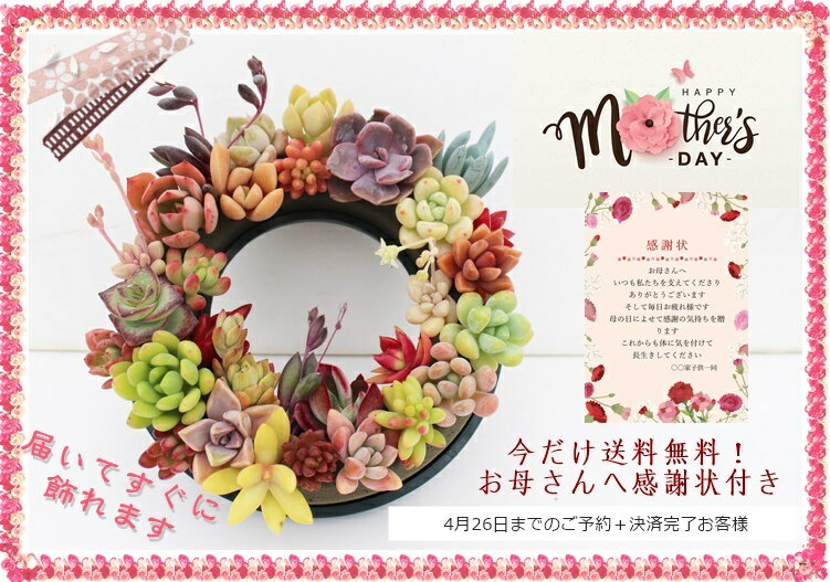 樂天商城 - 母の日 多肉植物 リースリング 30種類 カット苗 寄せ植え プレゼント ギフト 壁掛け リース インテリア おしゃれ 観葉植物 かわいい ガーデニング 送料無料 産地直送 お祝い 贈り物 5月の旬 紅葉 華やか 豪華 感謝の気持ち