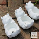 ごろんとパンダ鉢 白鉢 陶器鉢 多肉永遠鉢