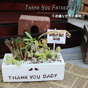 多肉植物の寄せ植え レクタングル鉢 父の日の贈り物 送料無料 父の日 多肉植物の寄せ植え 多肉植物 父の日贈り物 ギフト 父の日ギフト花