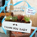 ハオルチアの寄せ植え レクタングル鉢 父の日の贈り物 送料無料 父の日 多肉植物の寄せ植え 多肉植物 父の日贈り物 ギフト 父の日ギフト花