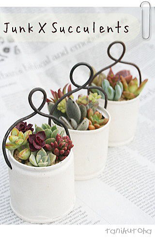 多肉植物 寄せ植え 送料無料 ジャンクオリジナルミニハンドル ギフト 贈り物 観葉植物 インテリア ハロ..