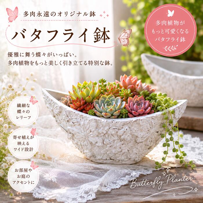 楽天市場】舟形 花器の通販