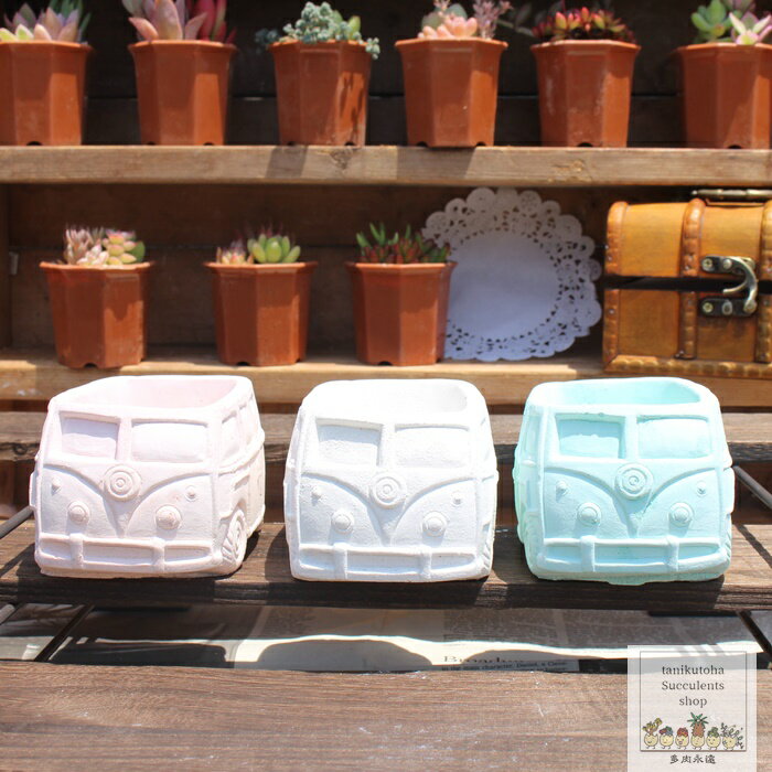 ワーゲン鉢 陶器鉢 多肉永遠鉢