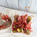 多肉植物の寄せ植え スクエアーレッド 送料無料 yo27 多肉植物 寄せ植え おしゃれ 新築祝い 誕生日祝 結婚式祝 おくりもの プレゼント 母の日 歓送迎会 ...