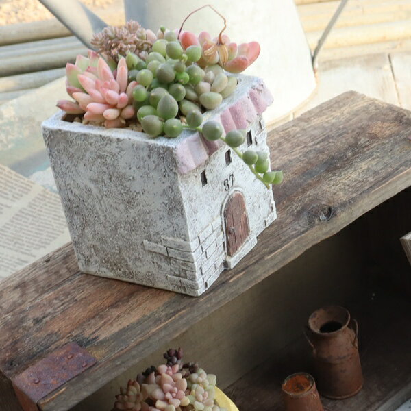 多肉植物 寄せ植え ミニショップ鉢 お家型 陶器鉢 完成品 1点もの エケベリア 観葉植物 インテリア 苗 鉢植え おしゃれ お祝い ギフト プレゼント