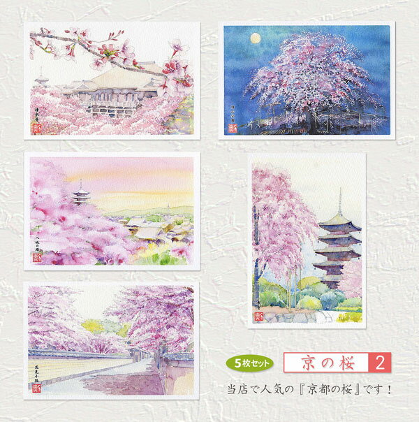 京の桜2　5枚セット 【 人気セレクション 】 ( 風景 清