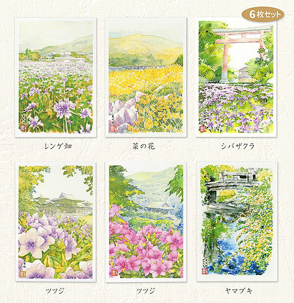 春の花3 6枚セット レンゲ畑 菜の花 シバザクラ ツツジ ヤマブキ 水彩画 風景画 ★当店オリジナル★【 デイリーランキング 1位入賞 】【 週間ランキング 8位入賞 】