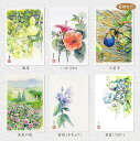 夏の花3 6枚セット ( ひょうたん 瓢箪 ハイビスカス 小茄子 高原の花 キキョウ フヨウ 水彩画 ) ★当店オリジナル★