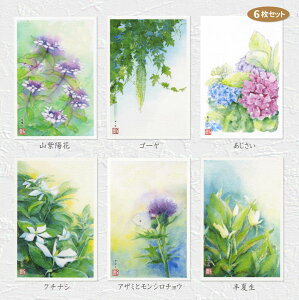 夏の花5 6枚セット ( 山紫陽花 ゴーヤ あじさい クチナシ アザミ モンシロチョウ 半夏生 水彩画 ) ★当店オリジナル★【 デイリーランキング 6位入賞 】