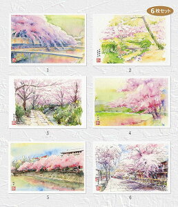 京の桜16 6枚セット ( 風景 三条白川 京都御苑 哲学の道 広沢池 琵琶湖疏水 祇園白川 水彩画 風景画 ) ★当店オリジナル★