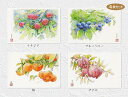 果実 4枚セット ( 秋 イチジク ブルーベリー 柿 ザクロ 水彩画 ) ★当店オリジナル★