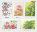 秋の花3 5枚セット ( ホオズキ ヒガンバナ ホトトギス ムラサキシキブ 水彩画 ) ★当店オリジナル★