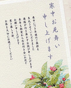 寒中見舞い 千両 -D-【タイトル+本文】 ( ポストカード 冬 寒中見舞い 喪中 私製はがき 水彩画 仙蓼 )ネット通販 年賀状印刷 年賀状作成ソフト セール