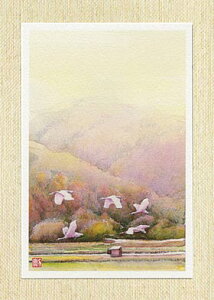 タニムラ ポストカード ストア バーゲン