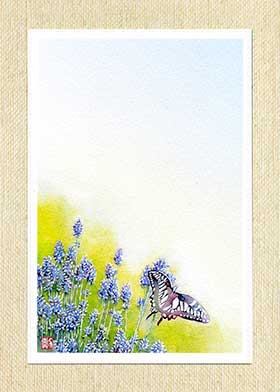 ポストカード [ 蝶とラベンダー ] ( ハーブ かわいい 蝶 アゲハチョウ 水彩画 風景画 グリーティングカ..