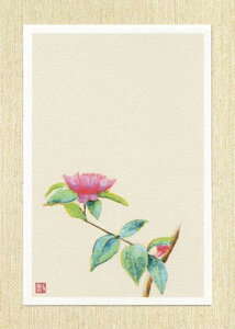 タニムラ ポストカード ストア セール