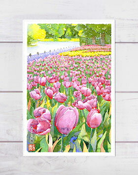 チューリップ園 ( 京都府立植物園 水彩画 風景画 )★当店オリジナル★【 デイリーランキング 1位入賞 】【 週間ランキング 3位入賞 】のサムネイル