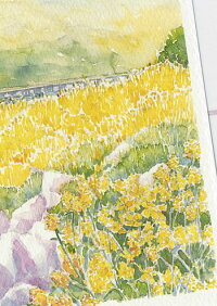 楽天市場 春の花 嵐山 菜の花 ポストカード 絵葉書 絵はがき 春 花 菜の花 花畑 桂川 渡月橋 山並 京都 和風 水彩画 風絵画 タニムラ ポストカード ストア 楽天市場 春の花 嵐山 菜の花 ポストカード 絵葉書 絵はがき 春 花 菜の花 花畑 桂川 渡月橋 山並 京都 和風 水彩画 風絵画 タニムラ ポストカード ストア