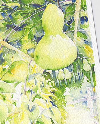 瓢箪 [ ひょうたん ] ( 新緑 スケッチする人 京都府立植物園 水彩画 風景画 ) ★当店オリジナル★