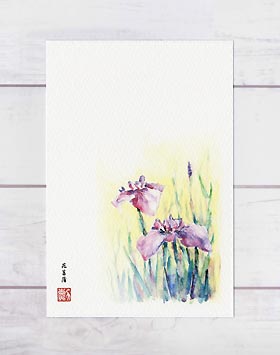 花菖蒲 [ ハナショウブ ] ( 水彩画 風