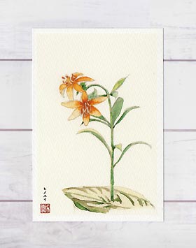 ヒメユリ ( ゆり 百合 水彩画 ) ★当店オリジナル★のサムネイル